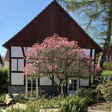 Gemuetliches Ferienhaus Im Extertal/ Lippe Eksteriør billede