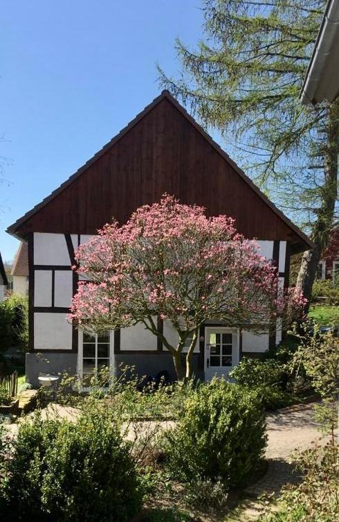 Gemuetliches Ferienhaus Im Extertal/ Lippe Eksteriør billede
