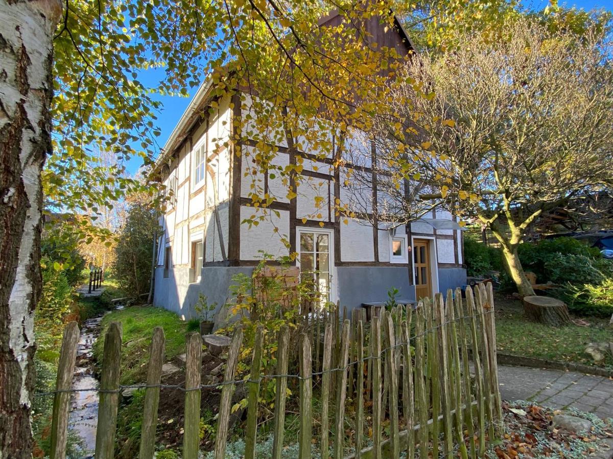 Gemuetliches Ferienhaus Im Extertal/ Lippe Eksteriør billede